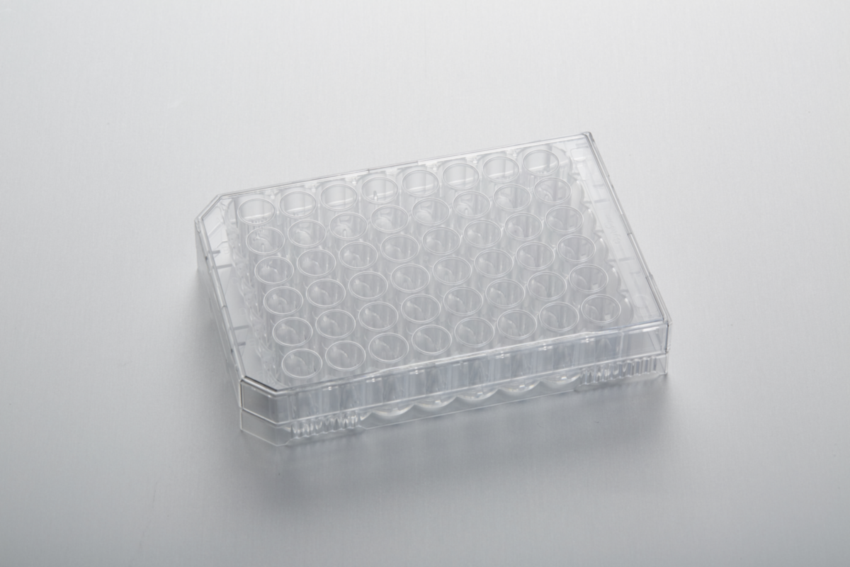 Планшет для культур клітин CytoOne® , 48 лунок, ТС-оброблений, стерильний